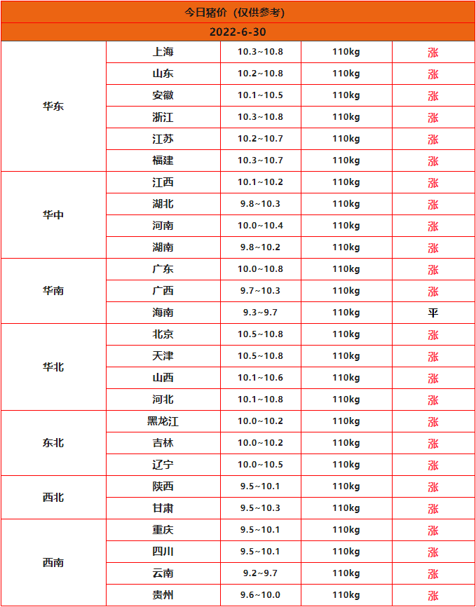 最新猪价行情