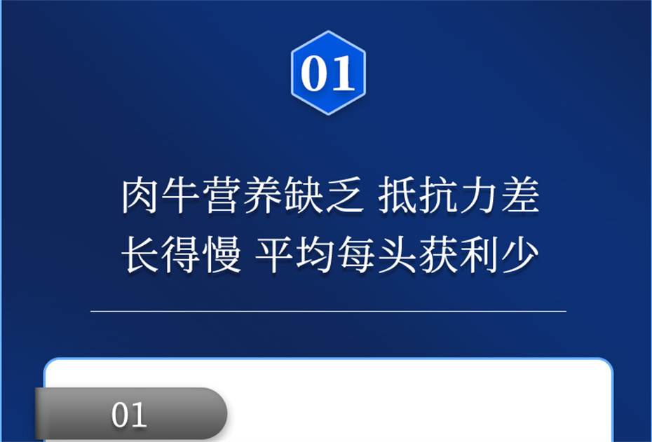 吉隆达动保牛饲料添加剂肉牛多矿产品介绍