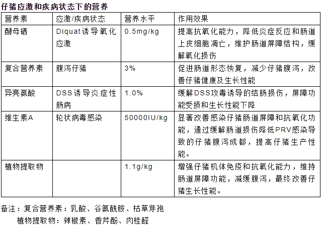 报告内容2