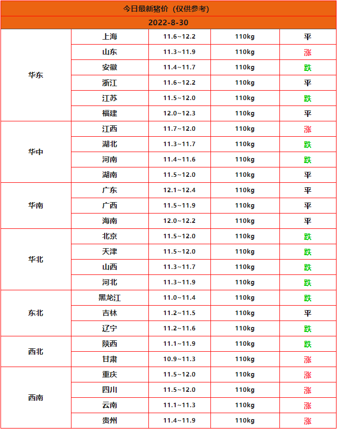 全国猪价行情