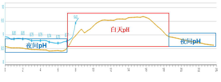 一天中水体pH值的变化规律