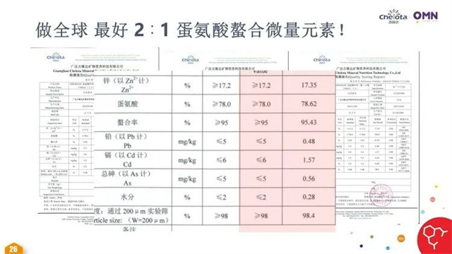 2:1MetZn主要技术指标