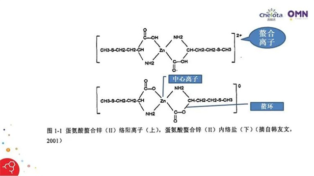 蛋氨酸锌