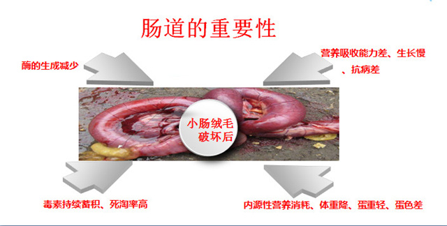 饲料添加剂