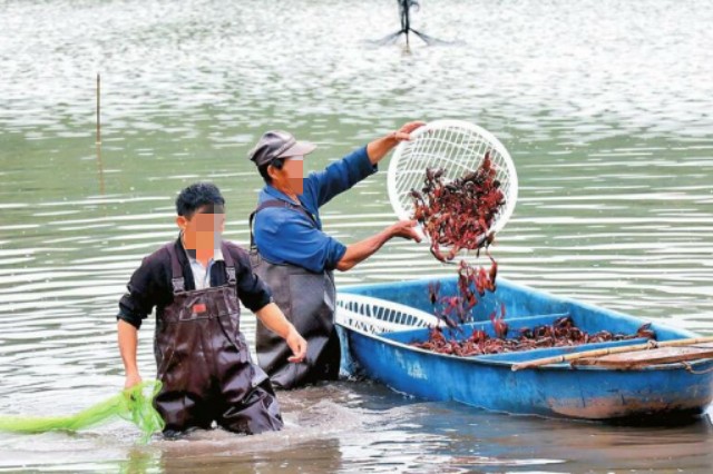 虾蟹补充微量元素用什么好